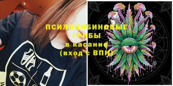 ешки Зеленодольск