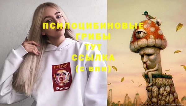 ешки Зеленодольск