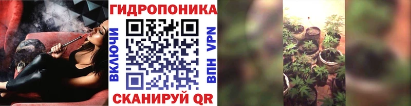 Купить закладки  Болхов  Бошки марихуана SATIVA & INDICA 